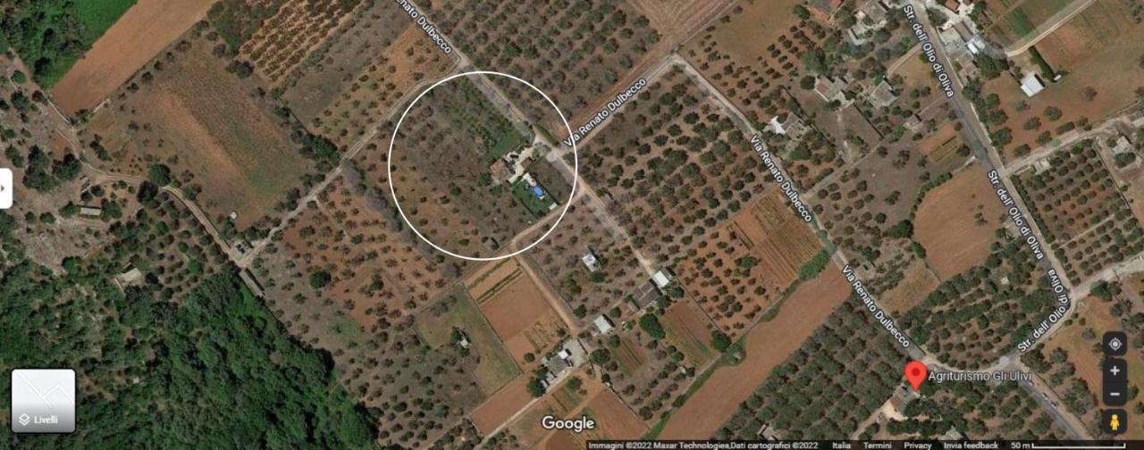 Villa Piana - Con Piscina E Giardino Privato Nel Salento Tricase Dış mekan fotoğraf